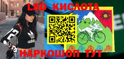 индика Пугачёв