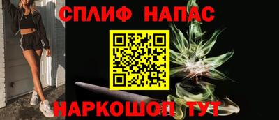 индика Пугачёв